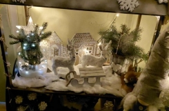 597800952_1426484602818734_8188008417903645223_n