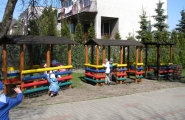 IMG_8755
