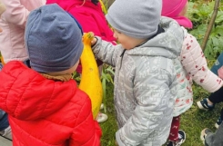 560527218_1377863904347471_6214160291205547153_n