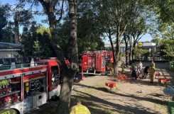 557723709_1364480125685849_6425254028851628413_n