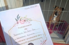 567657931_1384390463694815_574394178781044854_n