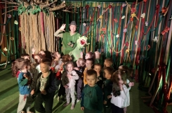 listopad 2025 - Wszystkie grupy