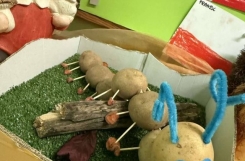 582277019_1405284118272116_2794736233389076915_n