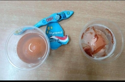 548098804_1345860997547762_6821061951919294631_n