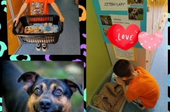 546232269_1349439923856536_2970792619478951330_n