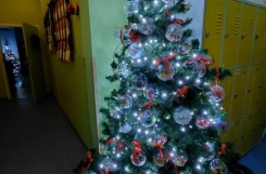 597560253_1426484359485425_648155128277844676_n