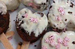 619075255_1461139126019948_3486594287542105240_n